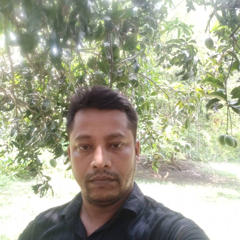 MD nazrul, 39, Nashville Tennessee